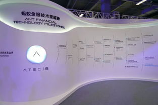 江蘇中理網(wǎng)絡(luò)科技 支付寶服務(wù)器意外中斷背后的互聯(lián)網(wǎng)銷售策略與風(fēng)險管控